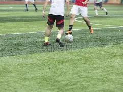 贝克汉姆斥,万豪宅欢庆,岁诞辰,3377体育官网,3377体育网页版入口,3377体育h5在线官网,3377体育app下载