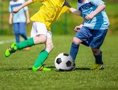 海口秀英区,第三期购车,补助高达,3377体育官网,3377体育网页版入口,3377体育h5在线官网,3377体育app下载