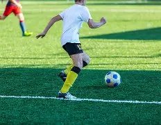 慎购,严重超标致,癌物,3377体育官网,3377体育网页版入口,3377体育h5在线官网,3377体育app下载