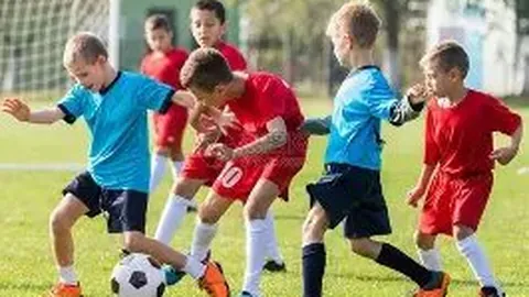 3377体育app下载 资讯 084215 9ft