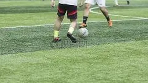 3377体育app下载 产品 084152 lgd