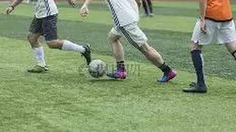 3377体育app下载 产品 084313 zmp