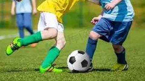 3377体育app下载 产品 084310 9hk