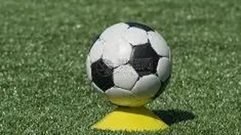 3377体育app下载 产品 083352 p9r